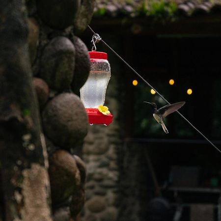 Отель Pura Vista Glamping El Castillo Экстерьер фото
