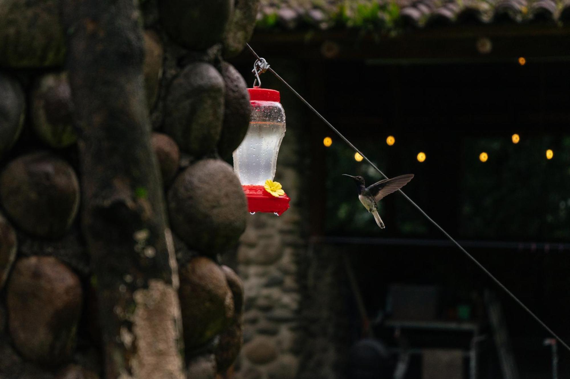 Отель Pura Vista Glamping El Castillo Экстерьер фото