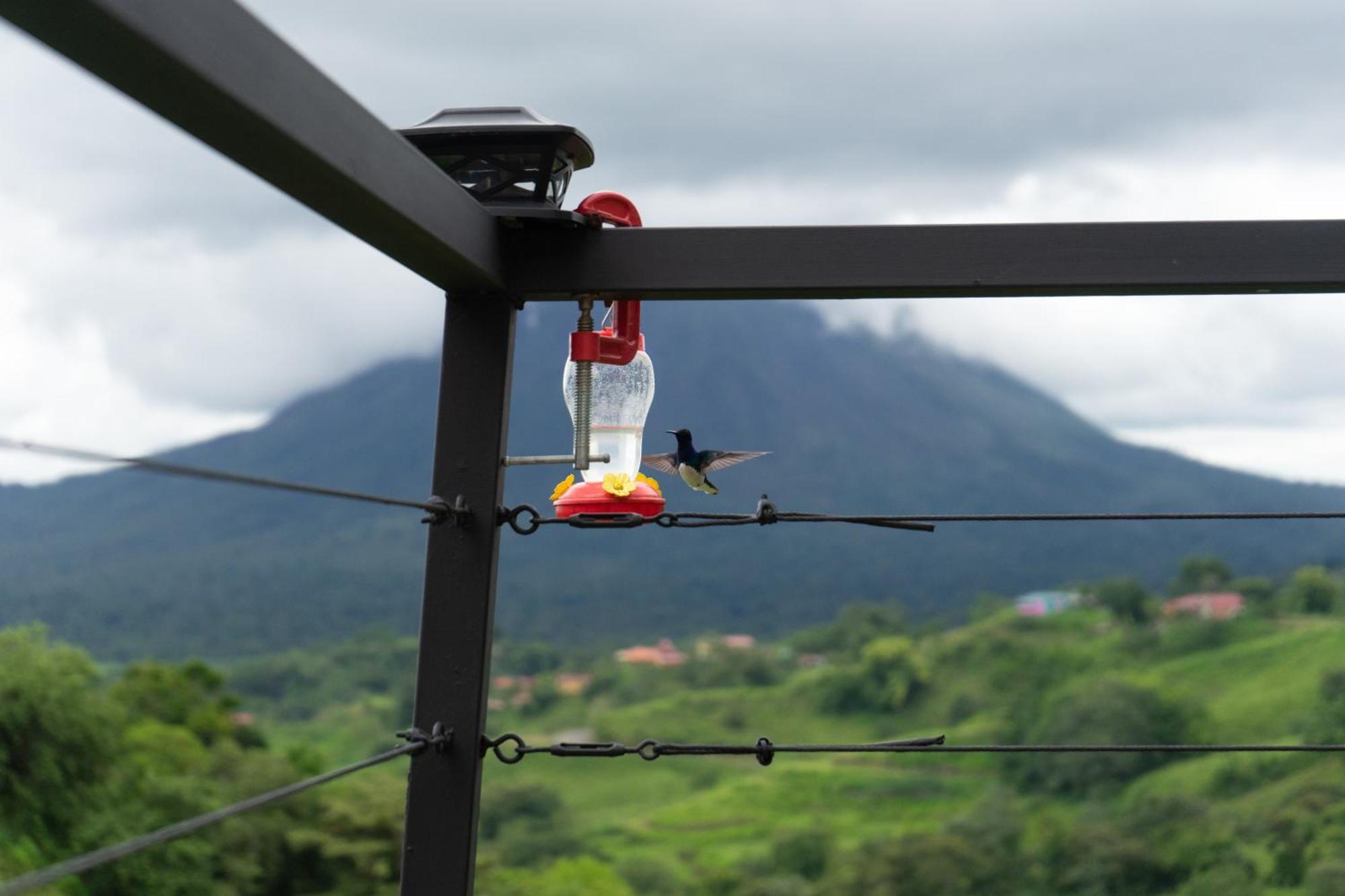 Отель Pura Vista Glamping El Castillo Экстерьер фото